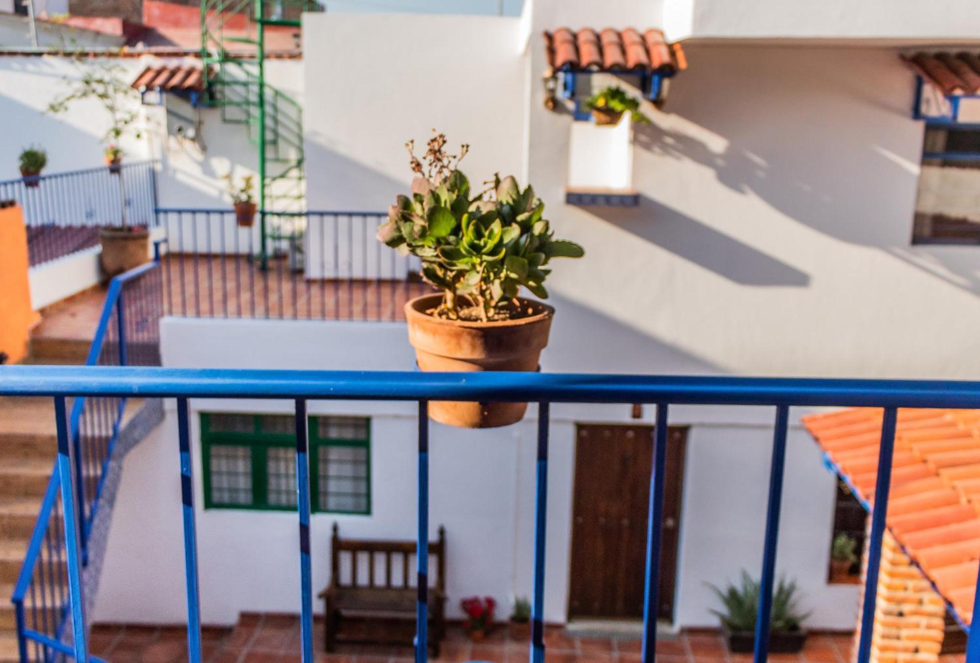 Casa De Hospedaje -La Abadia De San Pedro Guadalajara Eksteriør bilde